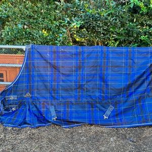 My Horse got TOO BIG!